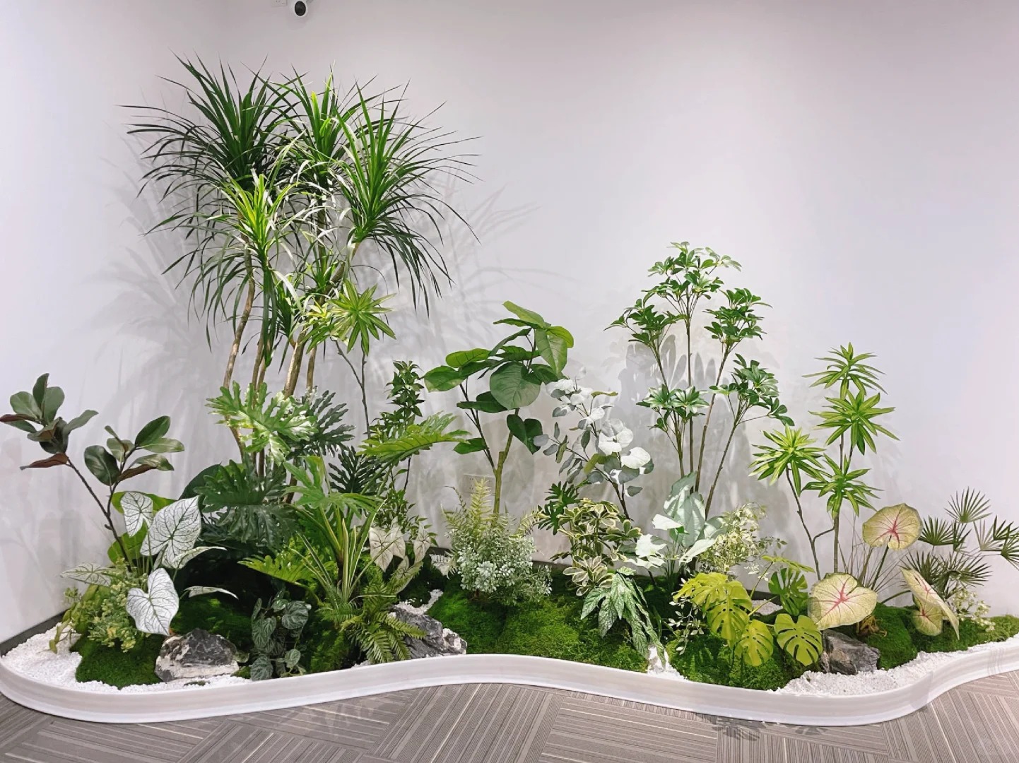 余姚盆景租摆哪家好？资深行家为你揭秘！